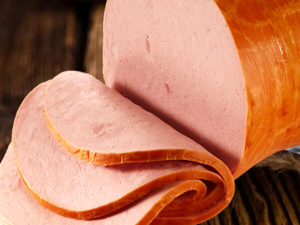 Bologna