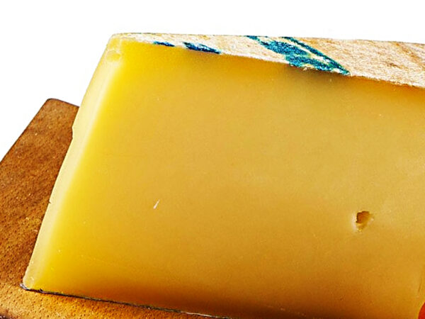 Fontina