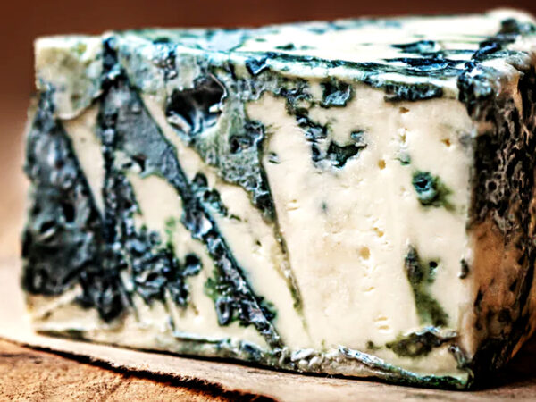 Gorgonzola