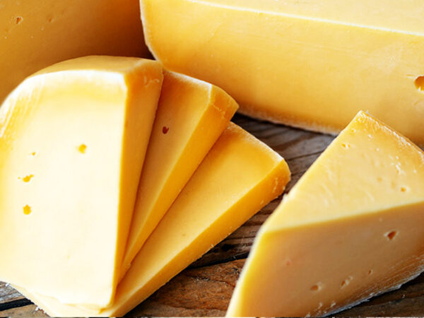 Gouda