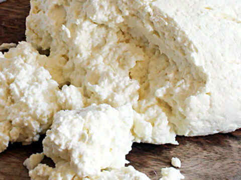 Ricotta